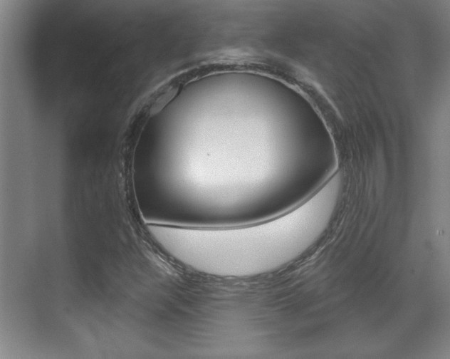 X0000071941304200607071003