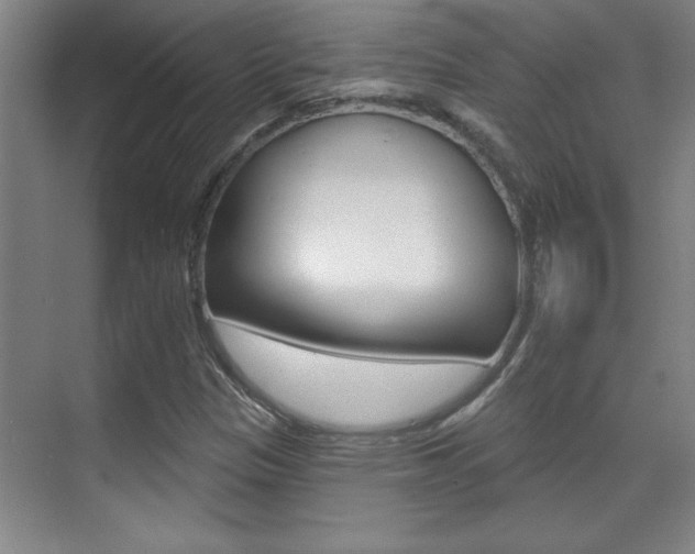 X0000071941305200607071003