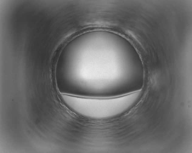 X0000071941307200607071003