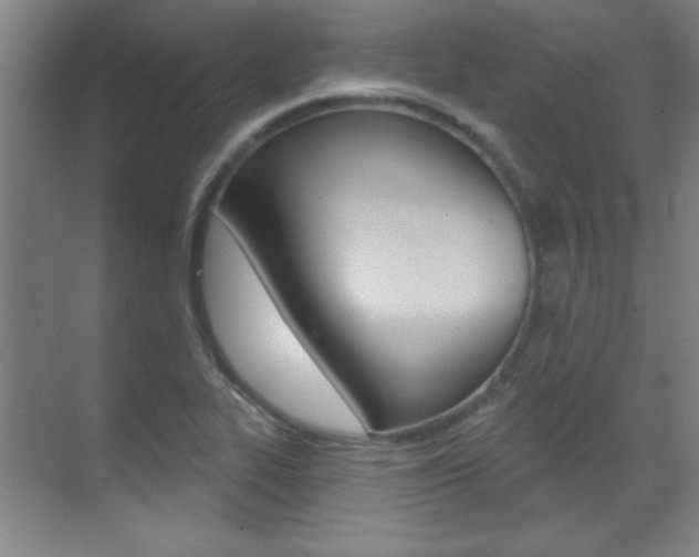 X0000071941319200607071003