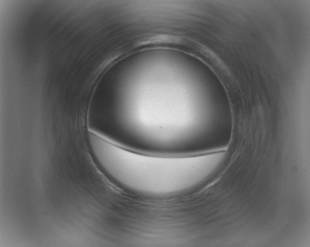 X0000071941321200607071003