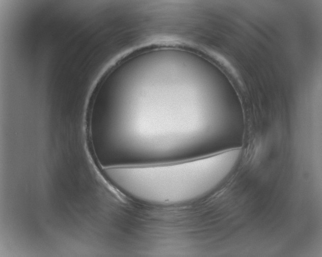 X0000071941327200607071003