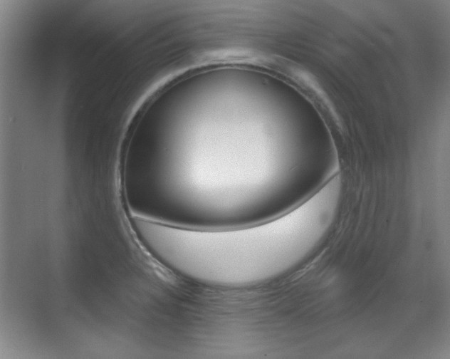 X0000071941328200607071003