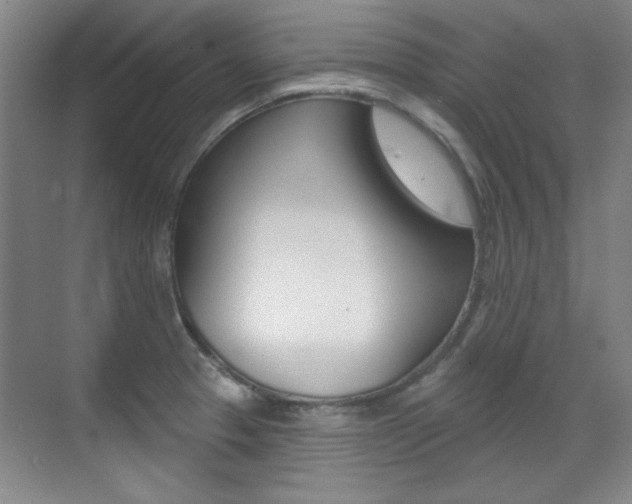 X0000071941329200607071003