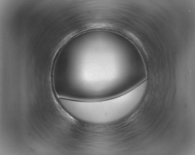 X0000071941330200607071003