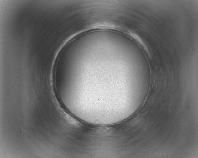 X0000071941331200607071003