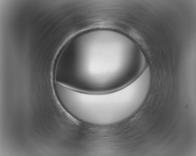 X0000071941334200607071003