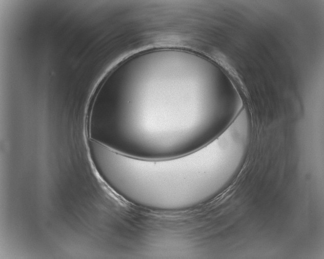 X0000071941342200607071003
