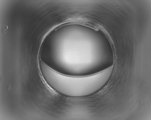 X0000071941344200607071003