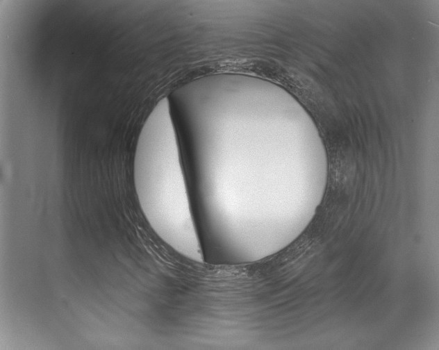X0000071941346200607071003