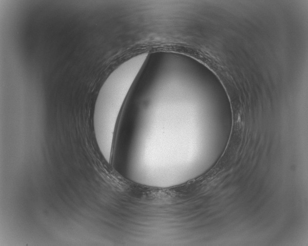 X0000071941348200607071003