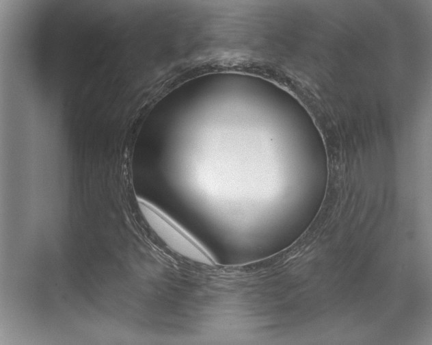 X0000071941349200607071003