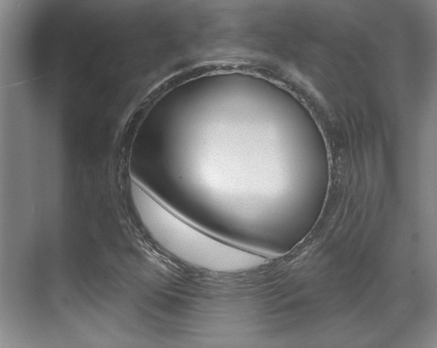 X0000071941352200607071003