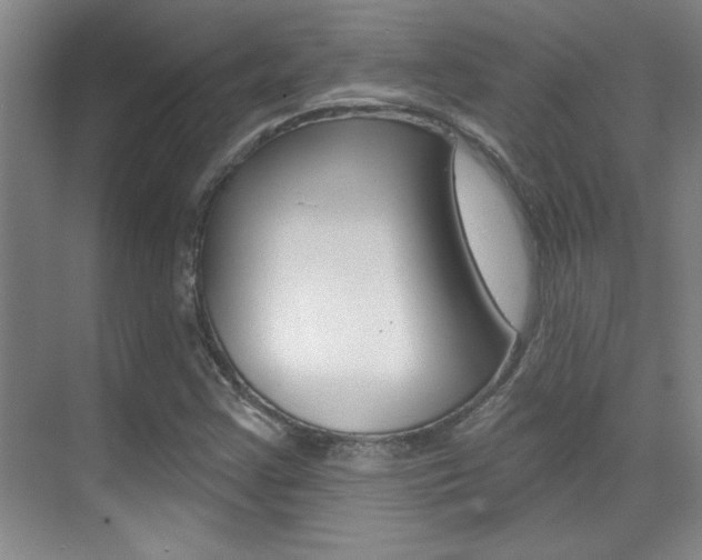 X0000071941355200607071002