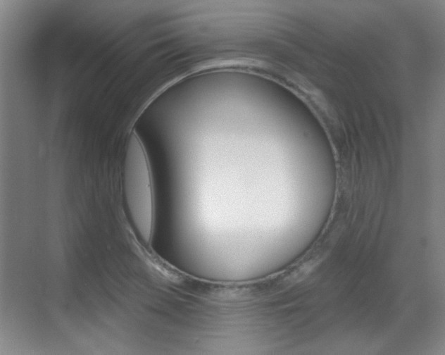 X0000071941369200607071002