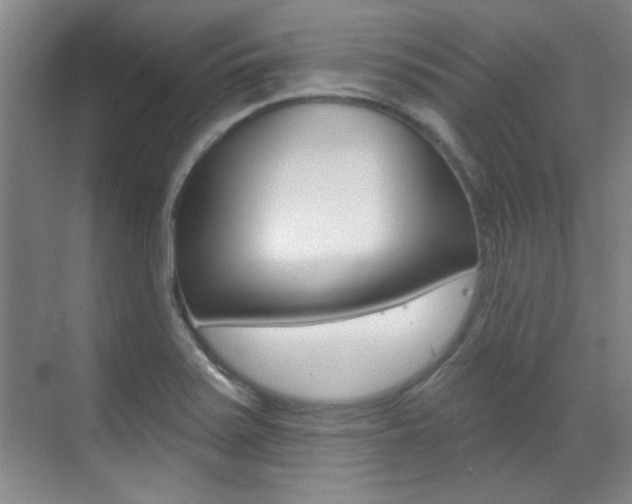 X0000071941371200607071002