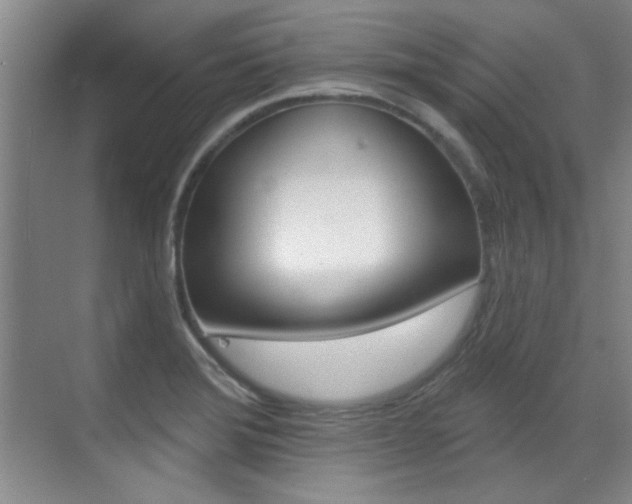 X0000071941372200607071002