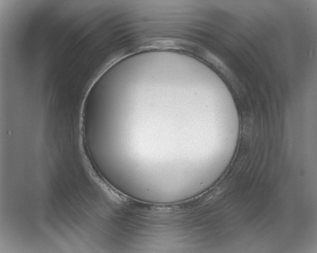 X0000071941378200607071002