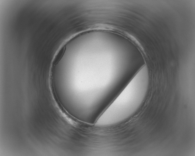 X0000071941379200607071002