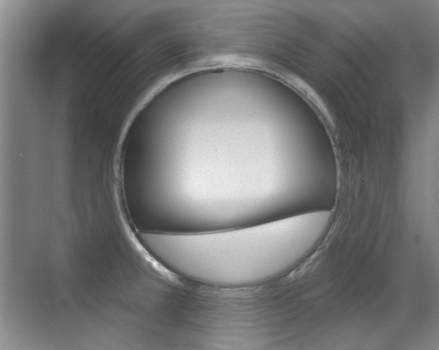 X0000071941381200607071002