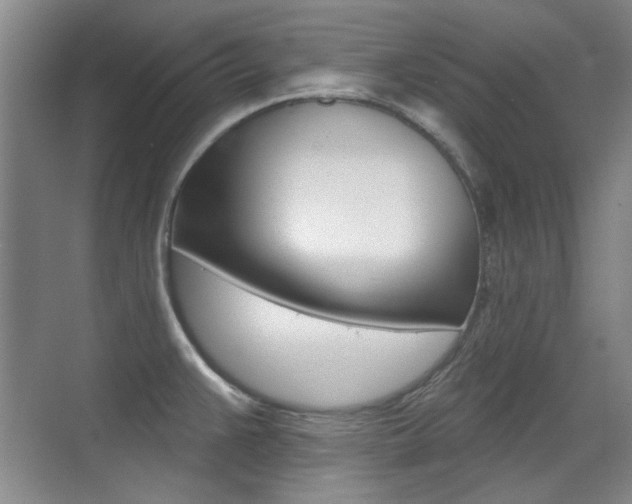 X0000071941383200607071002