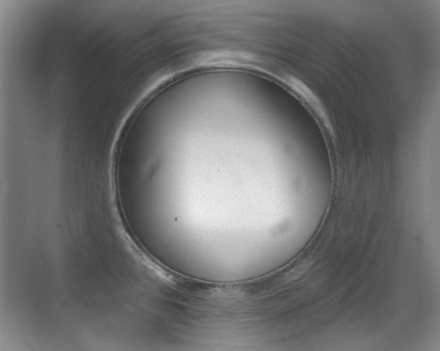 X0000071941384200607071002