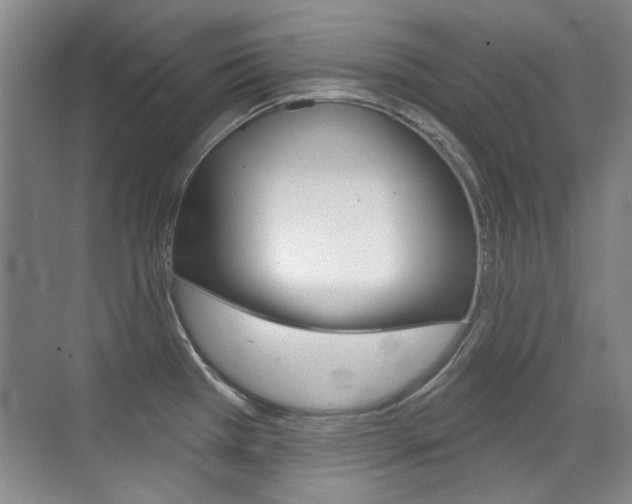 X0000071941385200607071002