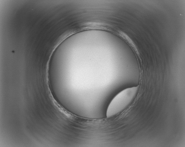 X0000071941386200607071002