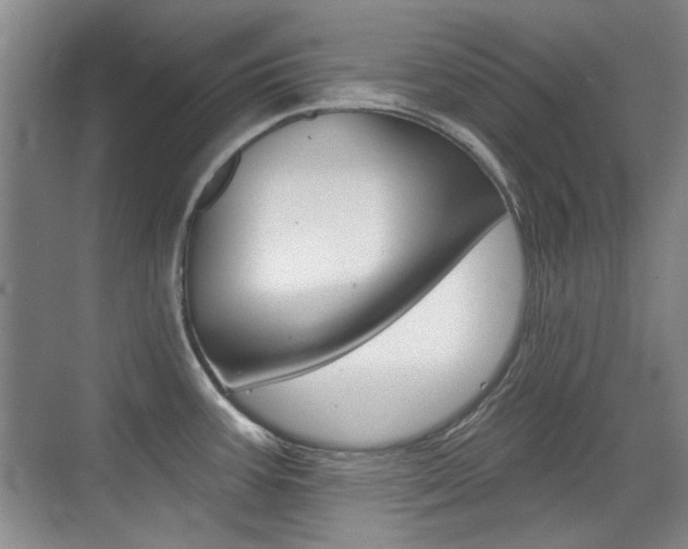 X0000071941387200607071002