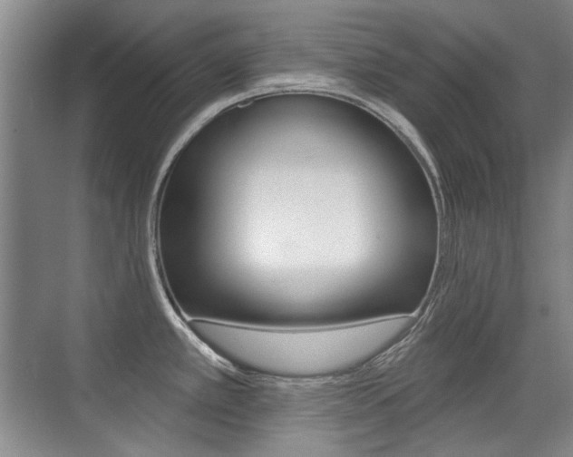 X0000071941389200607071002