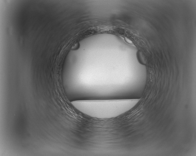 X0000071941393200607071001