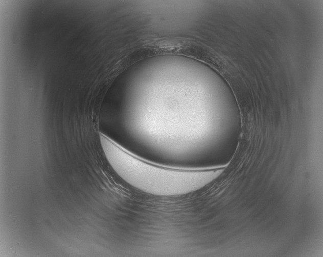 X0000071941394200607071001