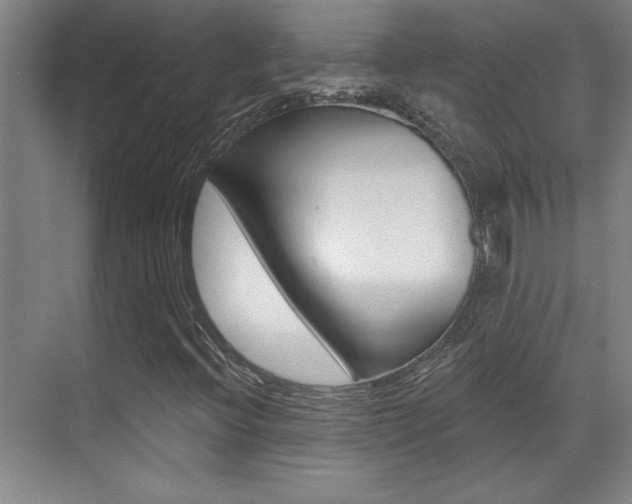 X0000071941396200607071001
