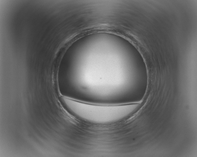 X0000071941402200607071001