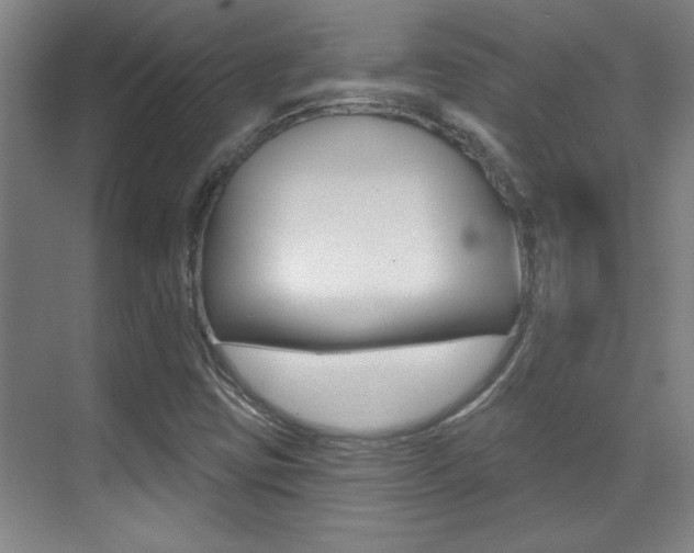 X0000071941403200607071001