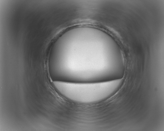 X0000071941407200607071001