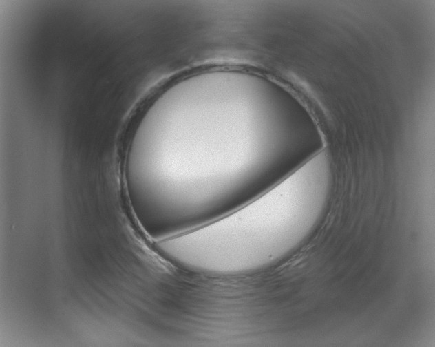 X0000071941408200607071001