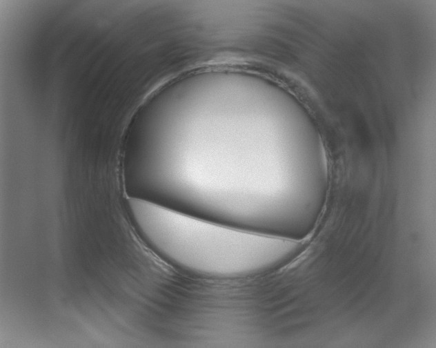 X0000071941409200607071001