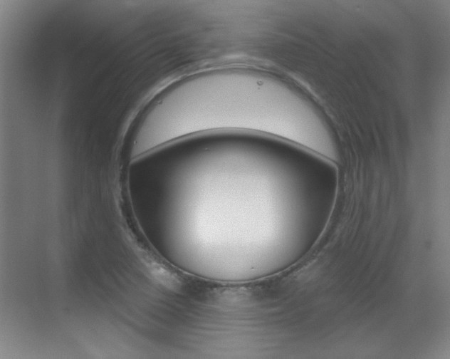 X0000071941410200607071001