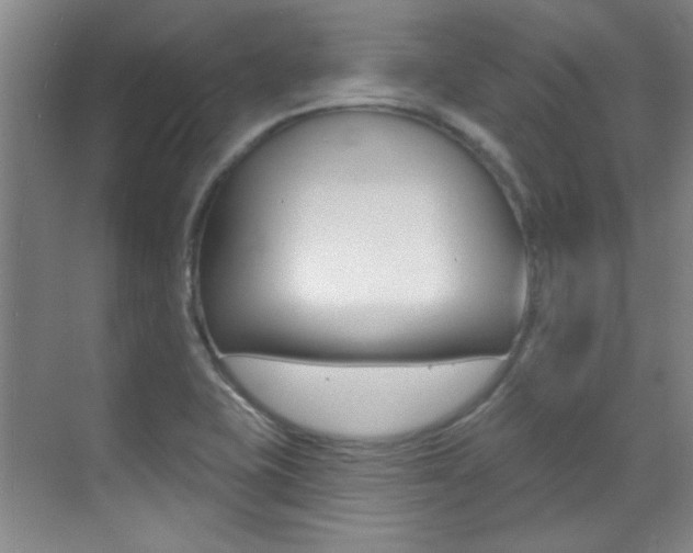 X0000071941415200607071001