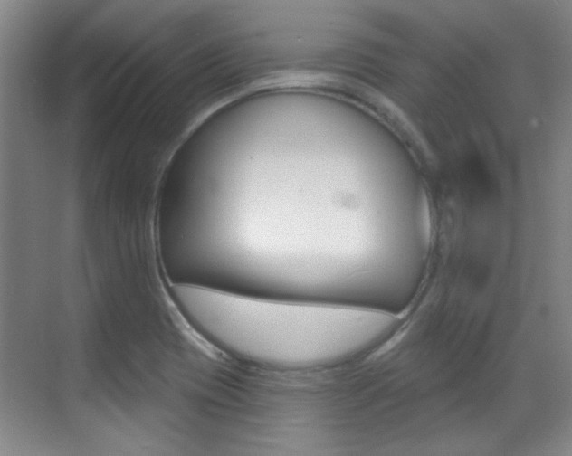 X0000071941417200607071001