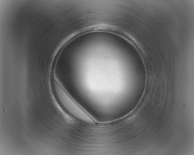X0000071941418200607071001