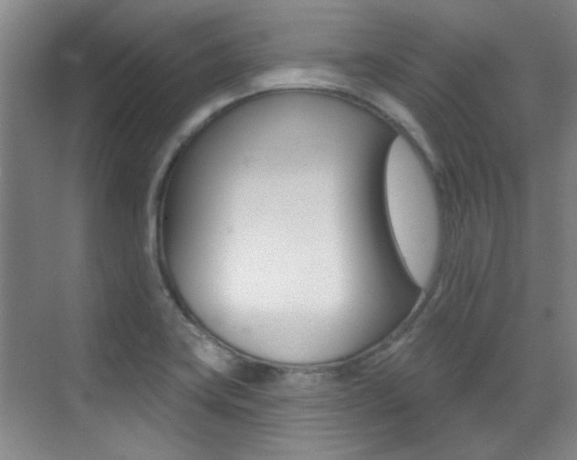 X0000071941419200607071001