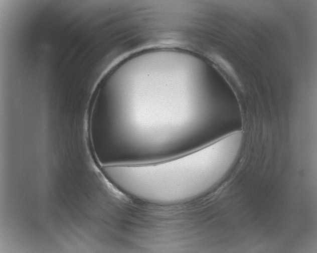 X0000071941420200607071001
