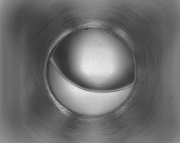 X0000071941426200607071002