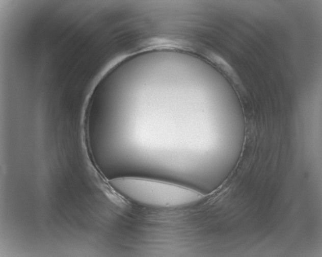 X0000071941427200607071002