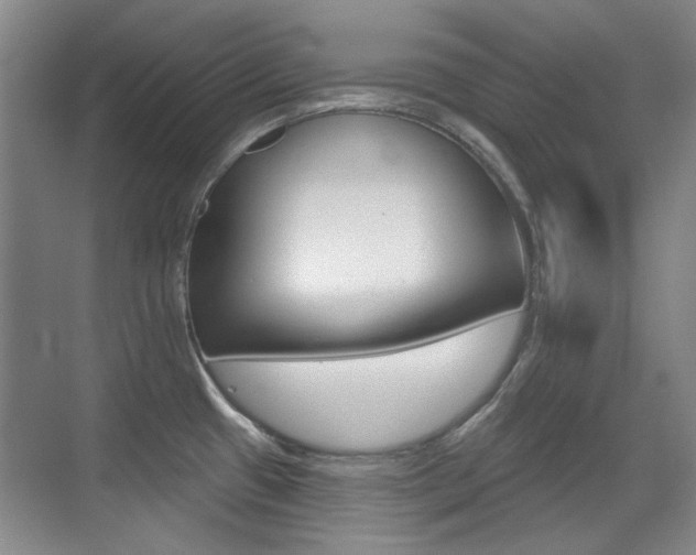 X0000071941433200607071002