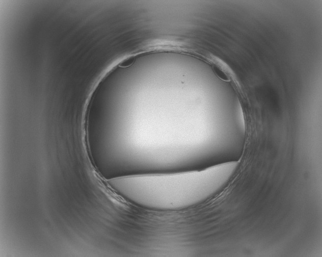 X0000071941435200607071002
