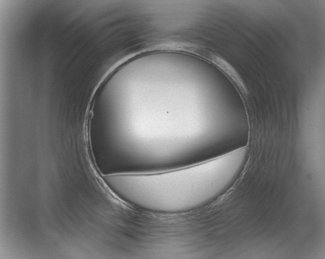 X0000071941436200607071002