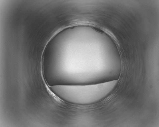 X0000071941439200607071002